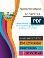 Practica Profecional Iii