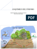 Ciclo Biogeoquimico Del Fósforo