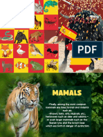 Fauna España