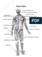 Puntos Vitales