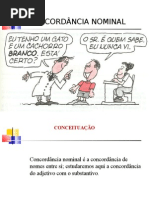 Concordancia Nominal