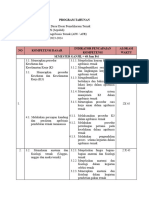 Program Tahunan