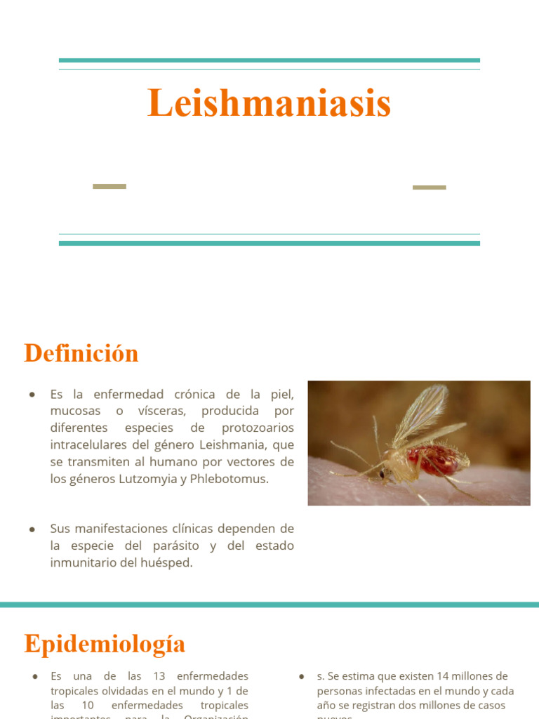 leishmaniasis-pdf-sistema-inmune-infecci-n