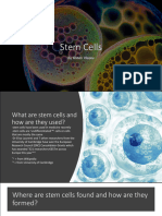 Stem Cells in Cancer Treatment