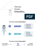 Nervous System Infographics by Slidesgo