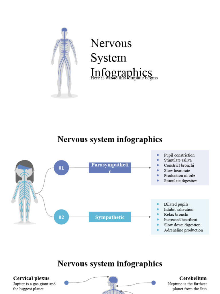 Nervous System Infographics Overview | PDF | Central Nervous System ...