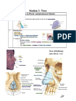 Lab 3 - Head Neck Nose Sinuses Mouth