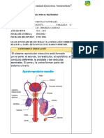 Ficha Pedagógica de Ciencias Naturales