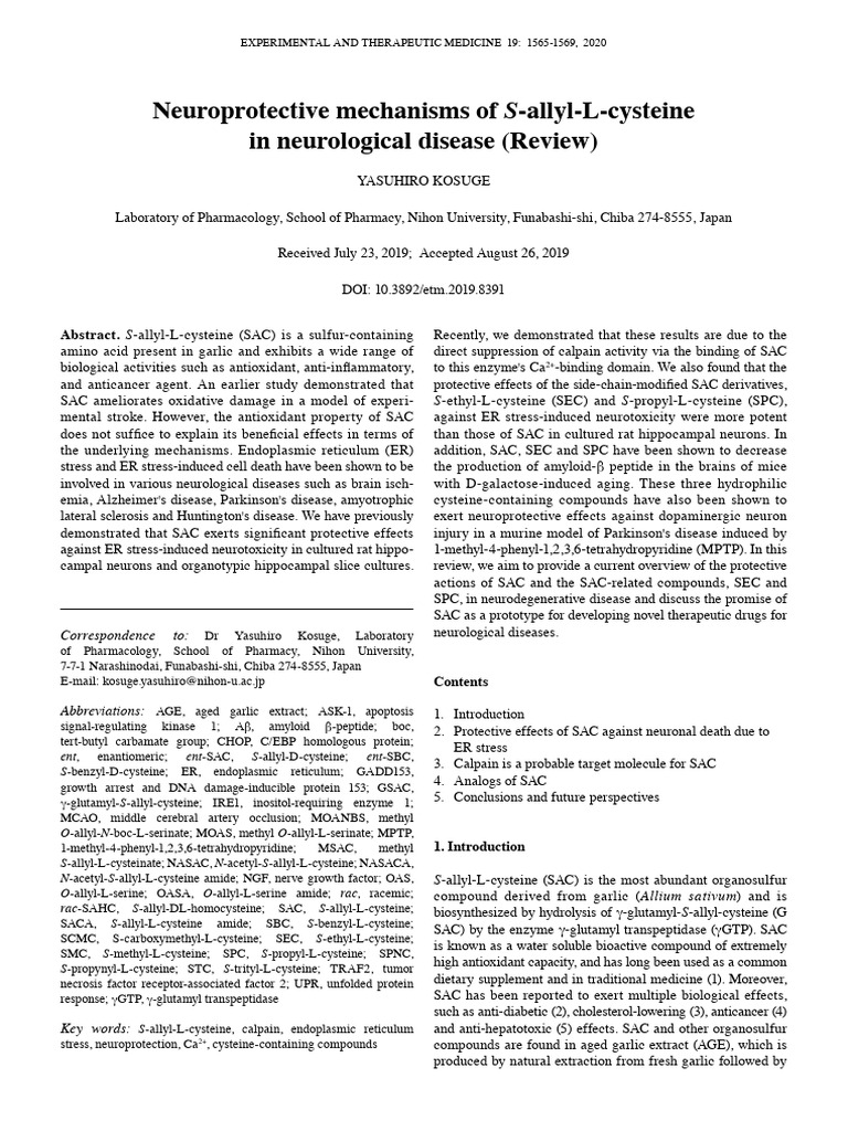 Neuroprotective Effects of S-allyl-L-cysteine | PDF | Molecular Biology ...