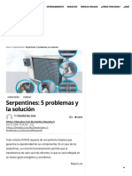 Serpentines - 5 Problemas y La Solución - Revista Cero Grados