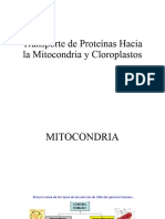 3 Transporte de Proteínas Hacia La Mitocondria y Cloroplastos