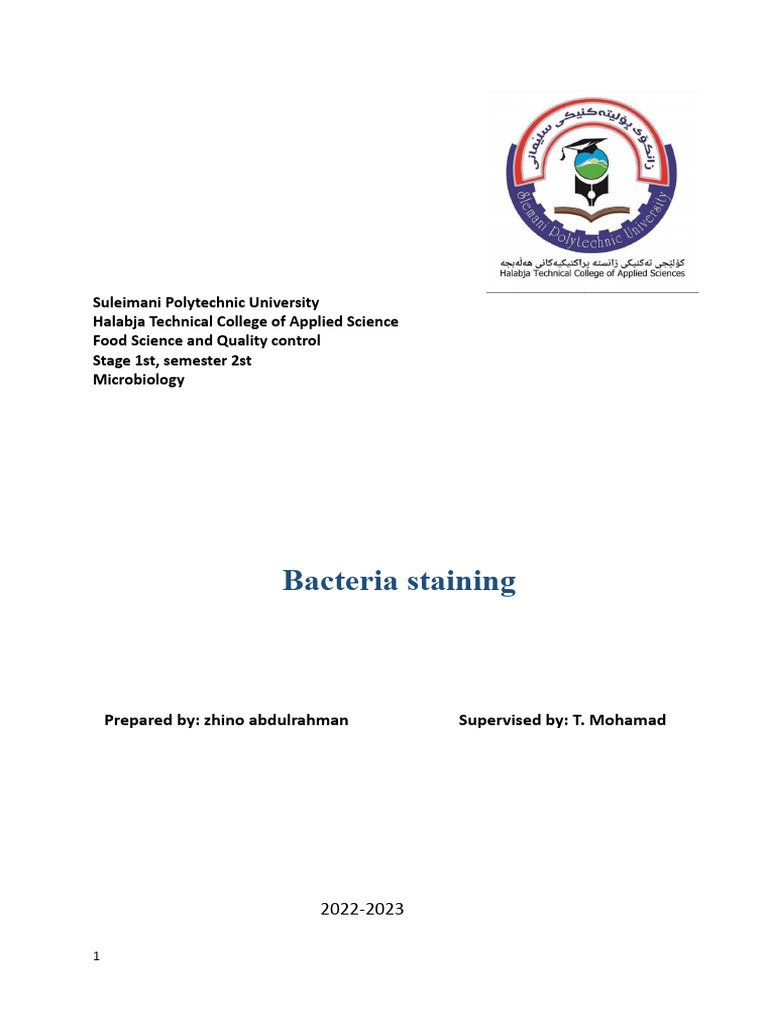 Bacteria ? | PDF | Staining | Bacteria
