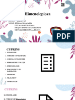 Himenolepioza An 1 CL M1