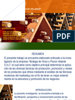 Plantilla PowerPoint de Vinos