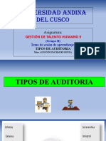 Tipos de Auditoria