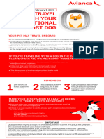 PDF Eng Mascotas