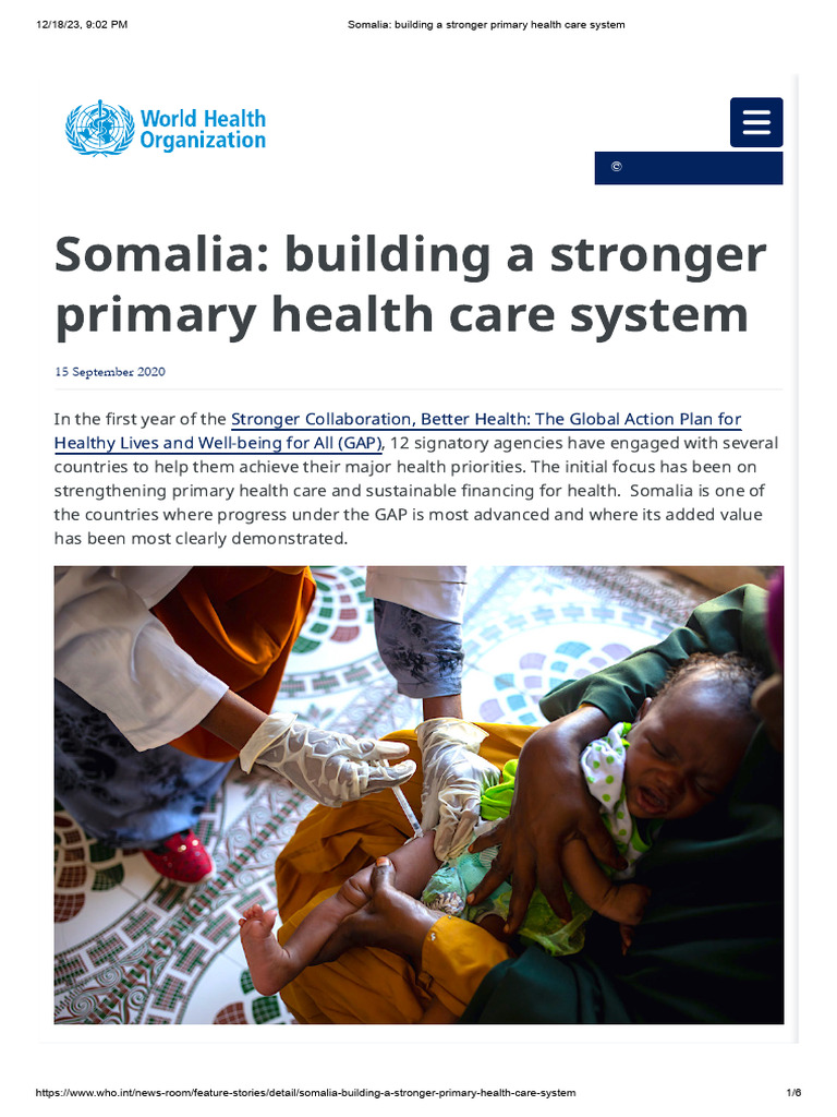 Somalia - Building A Stronger Primary Health Care System | PDF | World