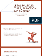 2.skeletal Muscle