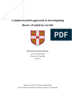 A Multi-Facetted Approach To Investigating