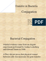 Gene Transfer in Bacteria: Conjugation