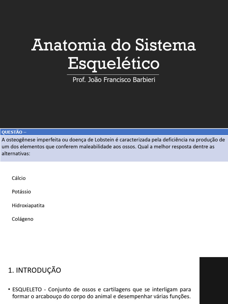 Anatomia Aula Pdf Osso Esqueleto