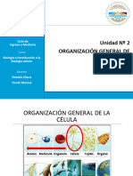 Unidad 2 - Organización General de La Célula