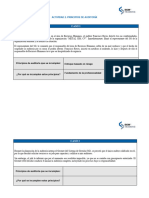 Actividad 2. Principios de Auditoria