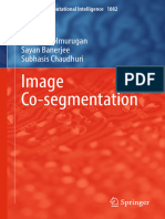 Image Co Segmentation