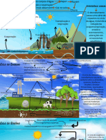 Ciclos biogeoquimicos