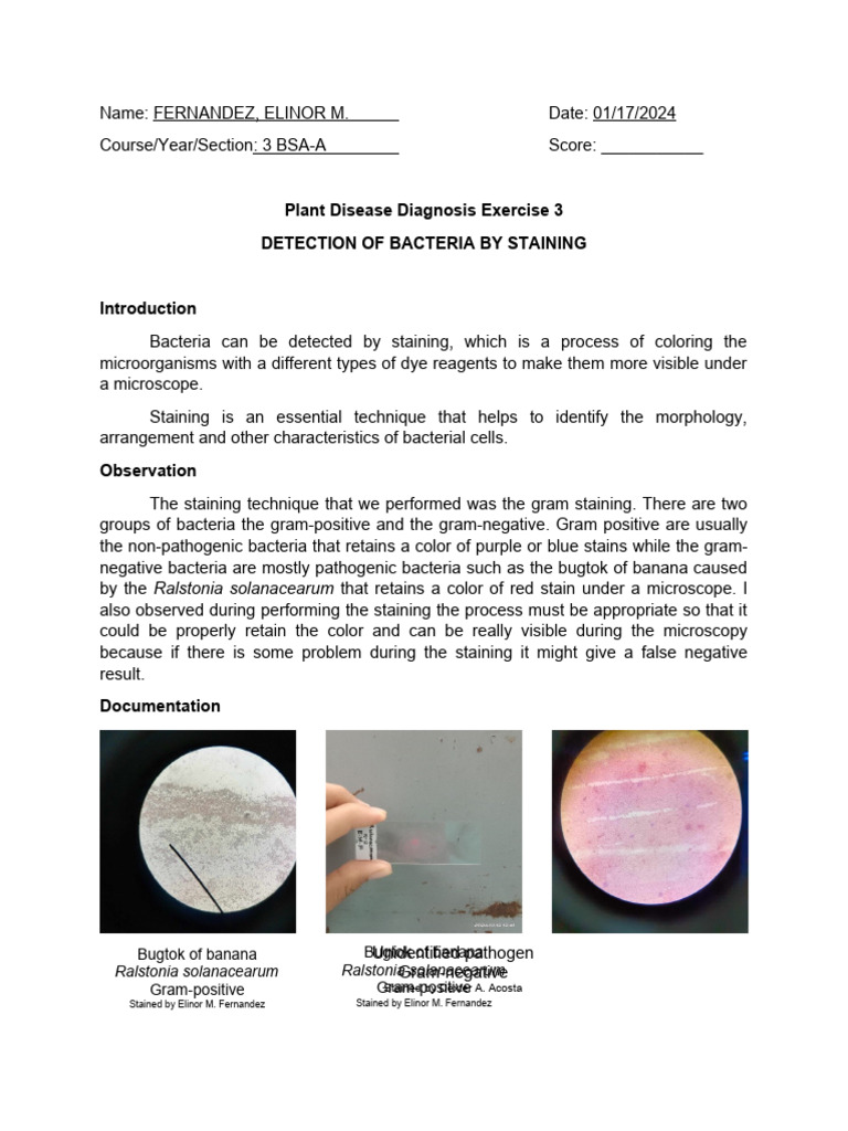 Bacterial Staining | PDF | Staining | Bacteria
