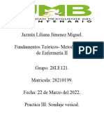 Practica 3.sondaje Vesical