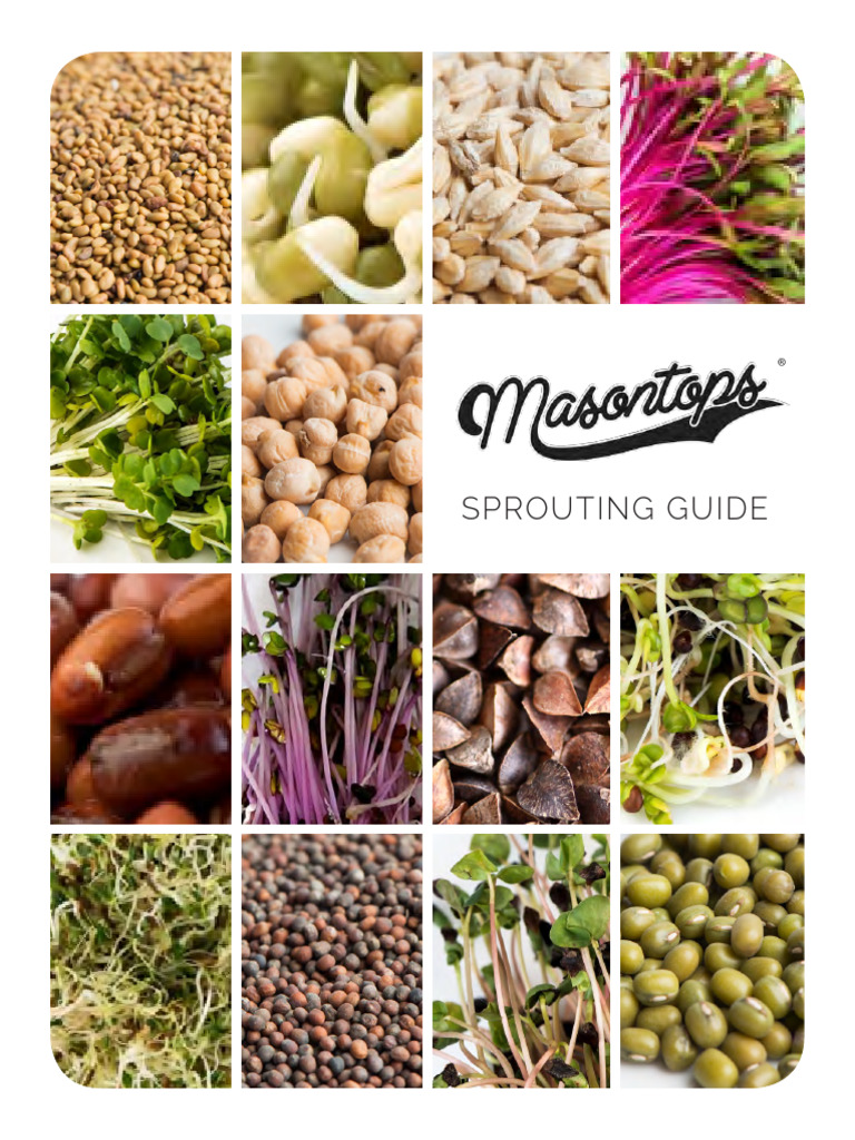 Sprouting Guide | PDF | Plants | Crops