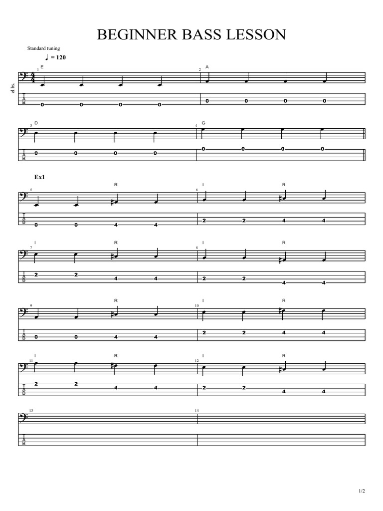 Beginner Bass Lesson Pdf Guitar Family Instruments