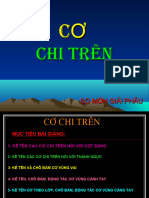 Cơ Chi Trên