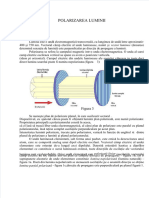 4 - Polarizarea Luminii