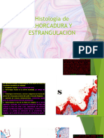 Histología de AHORCADURA Y ESTRANGULACION