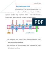 Electron Transport Chai1