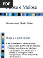 Meiose e Mitose