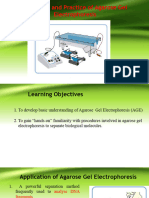 Agaroe Gel Electrophoresis-2023