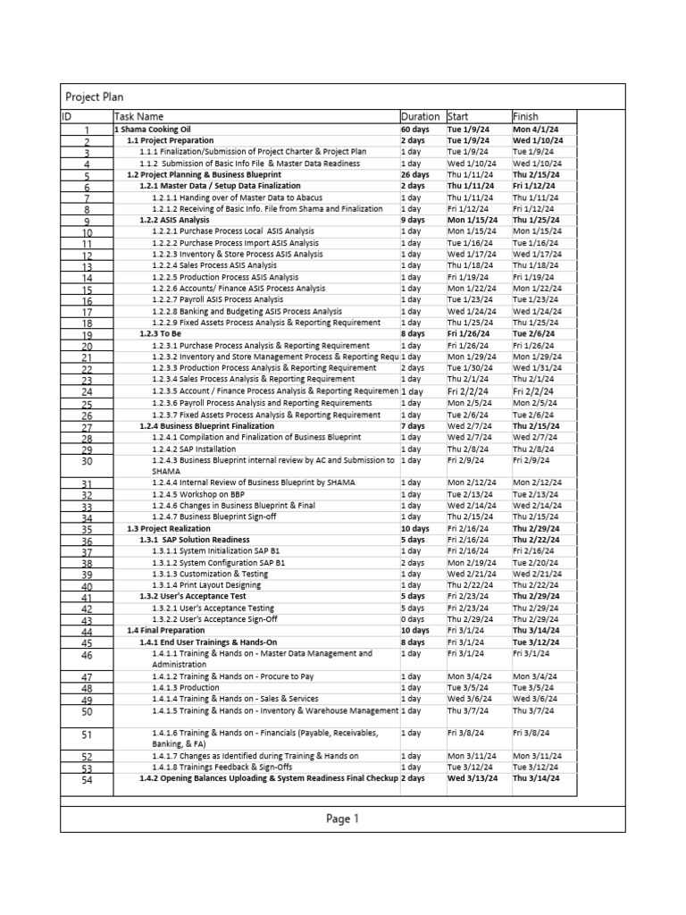 SAP B1 Implementation Project Plan | PDF | Business | Information ...