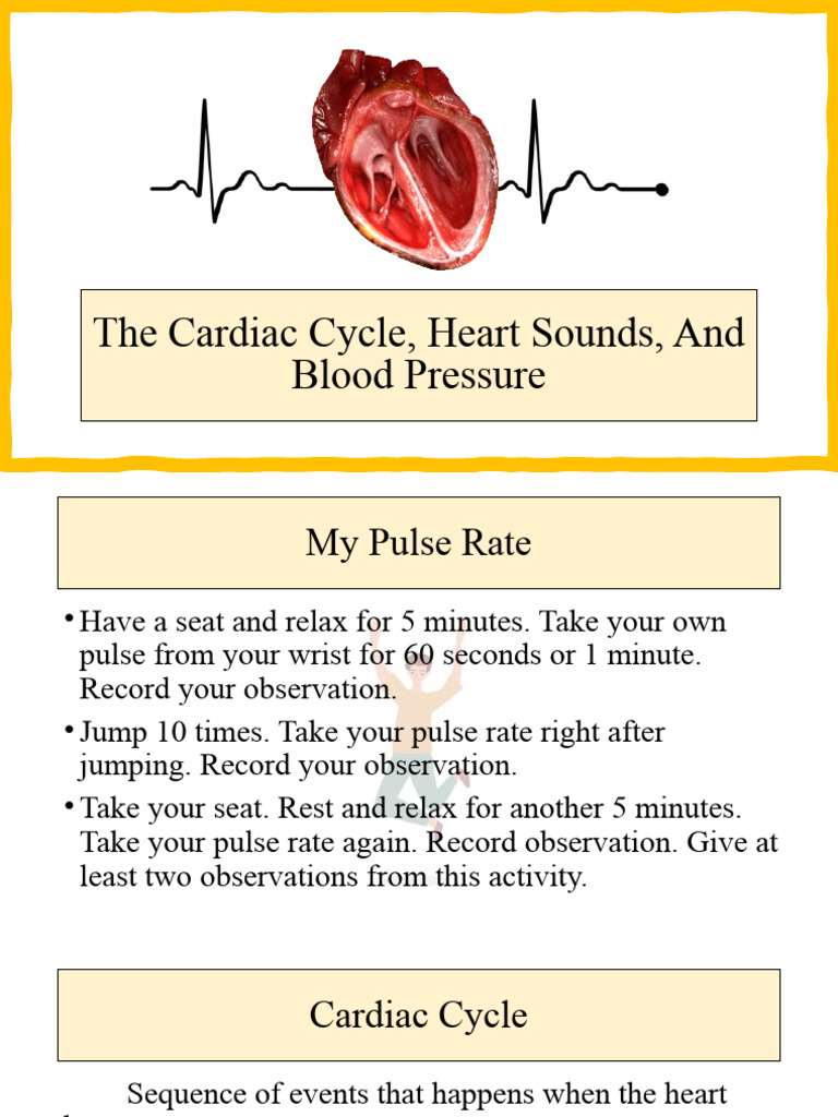 cardiac-cycle-heart-beat-blood-pressure-pdf-heart-valve-heart