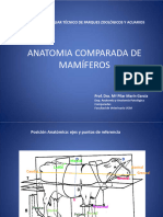 Anatomía Comparada de Mamíferos