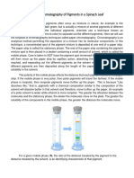 Chromatographyofspinachleaf Chem1004