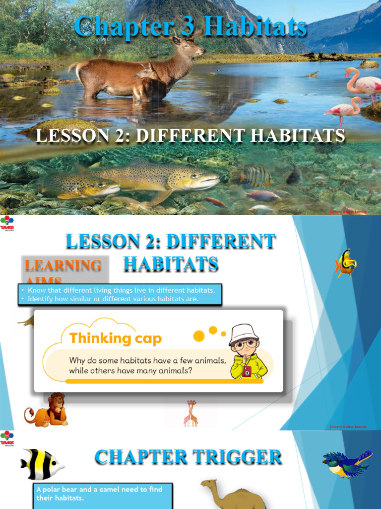 Grade 1 Chapter 3 Different Habitats Lesson 2 PDF Habitat Desert
