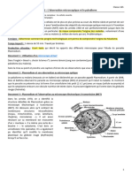 CH 1 - Act 2 - Microscopie Et Plasmodium