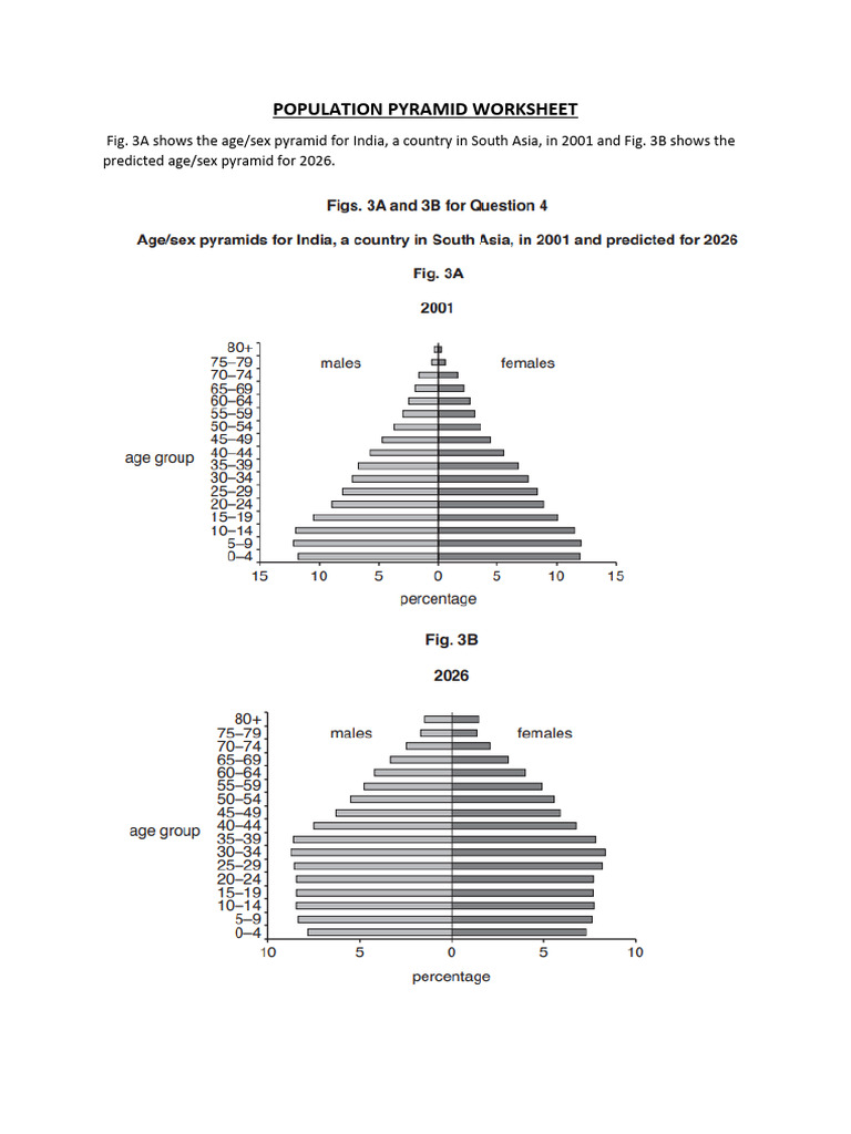 Population Pyramid Worksheet PDF