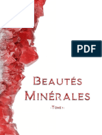 BEAUTES MINERALES - Tome 1