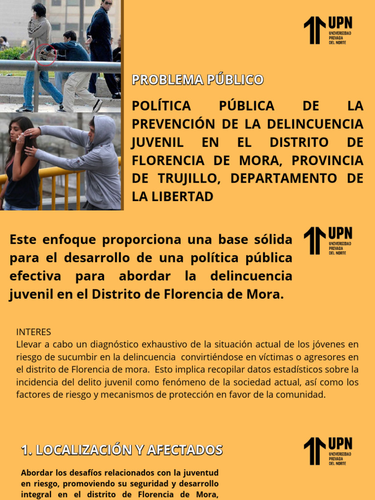 Política Pública de La Prevención de La Delincuencia Juvenil en El ...