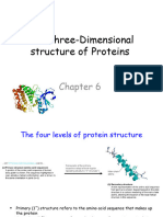 Chapter 6 The Three Dimensional Structure of Proteins Summ