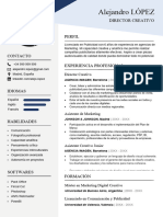 232 Curriculum Vitae Rellenar Editar